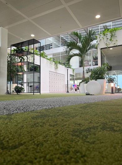 Rénovation des bureaux d’une entreprise de logiciels à Lausanne